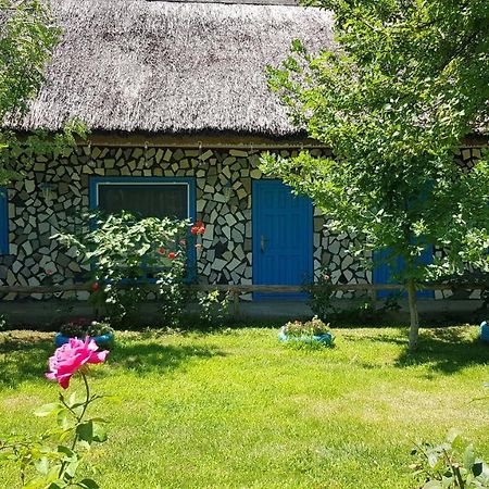 Pensiunea Iubire De Delta " La Traian " Murighiol Zewnętrze zdjęcie