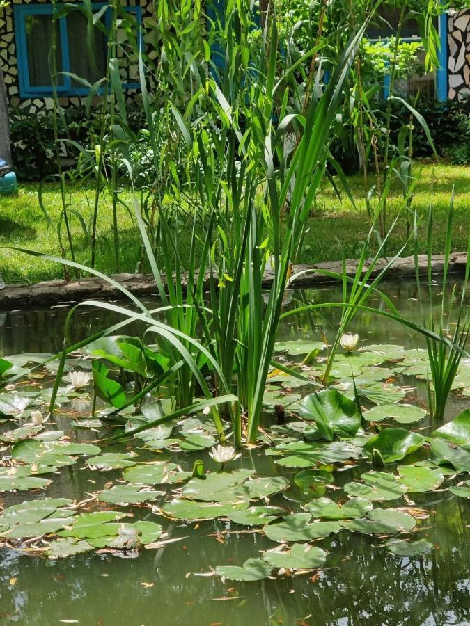 Pensiunea Iubire De Delta " La Traian " Murighiol Zewnętrze zdjęcie