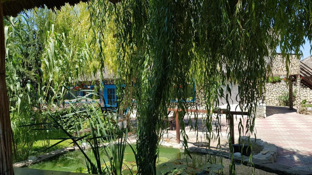Pensiunea Iubire De Delta " La Traian " Murighiol Zewnętrze zdjęcie