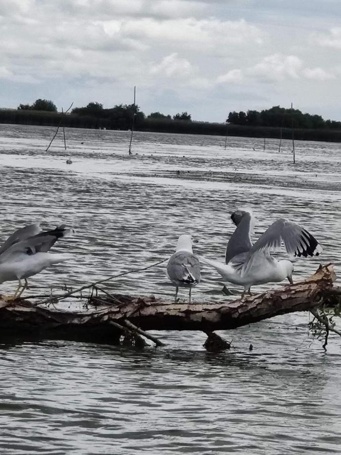 Pensiunea Iubire De Delta " La Traian " Murighiol Zewnętrze zdjęcie